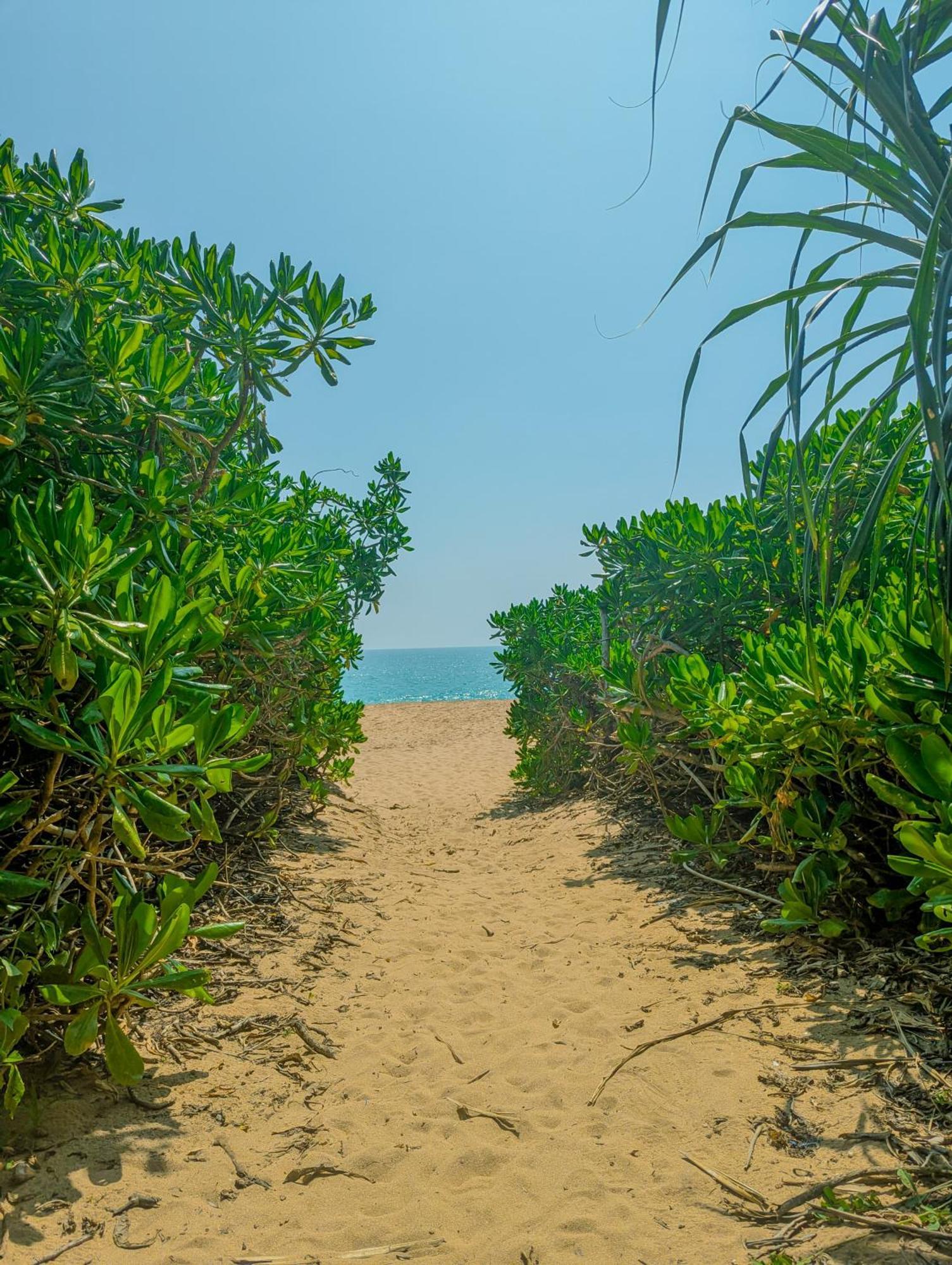 Southern Edge Cabanas Tangalle Kültér fotó