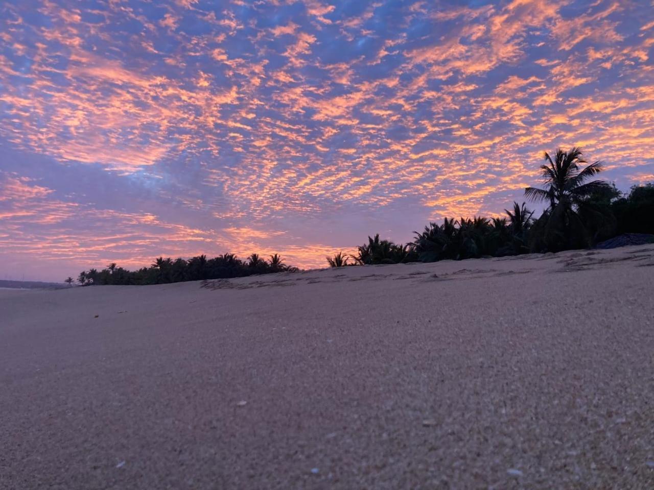 Southern Edge Cabanas Tangalle Kültér fotó